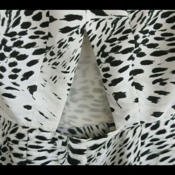 Silenceā+āNoiseāOmbré CheetahāPrintāDressāSizeā10 - Picture 6 of 10